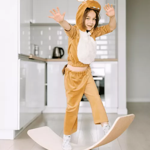 Balanceboard mit Filzbelag mieten